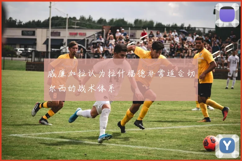 威廉加拉认为拉什福德非常适合切尔西的战术体系