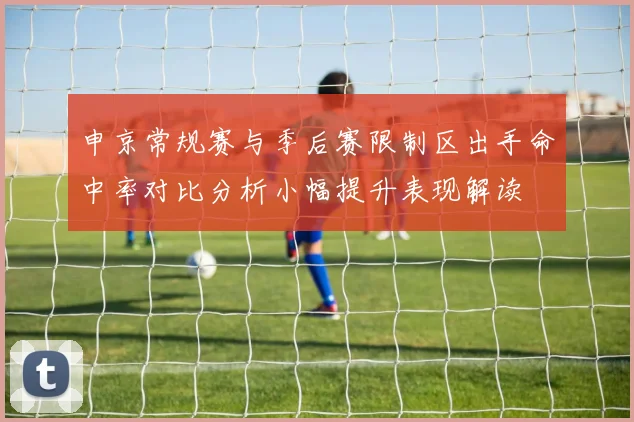 申京常规赛与季后赛限制区出手命中率对比分析小幅提升表现解读
