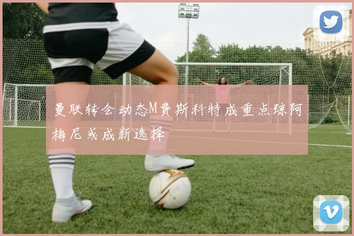 曼联转会动态M费斯科特成重点琼阿梅尼或成新选择
